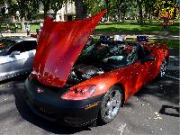Auto Gallery